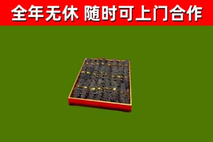 阳朔回收海参